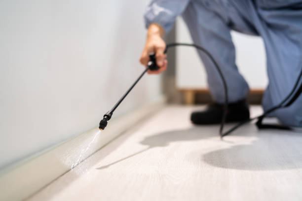 Licensed Pest Control service in Lebanon, NH - Show Me Pest Control