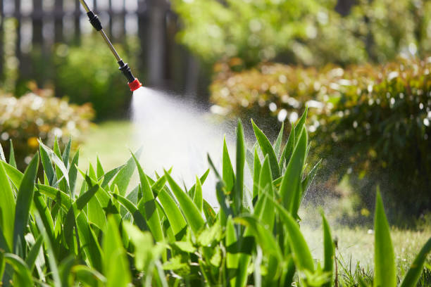 24/7 Emergency Wasp Removal experts in Lebanon, NH