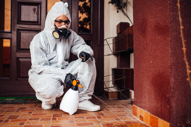 Reliable Wasp Removal contractor in Lebanon, NH by Show Me Pest Control